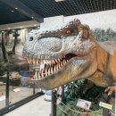 안면도쥬라기박물관 | 태안 안면도 쥬라기박물관 후기 | 공룡 화석 전시, QR 공룡도감 이벤트