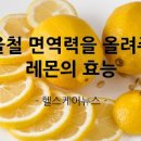 레몬 레몬차 효능 칼로리 부작용 레몬물 효능 이미지