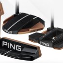 타이거골프클럽 이미지