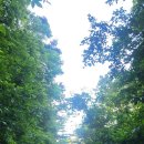 옥정호 마실길 펜션 이미지