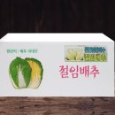 하신(암반)