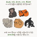 싱글몽글 이미지