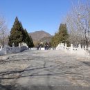 정릉13 이미지