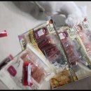 베베펫 천안 강아지분양 고양이분양 이미지