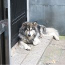 공리농장 이미지