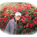 예산읍016 이미지