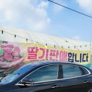 솔비 농장 이미지