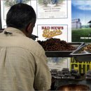 주정차단속-115 이미지