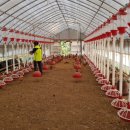 이화농장3 이미지