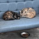 산물통회수산 | 가을 제주