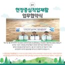 더식판 이미지