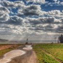 쉬림프 파파 이미지