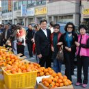 31회 피아골 단풍축제 (구례 장터에서 담아본 것들) 이미지