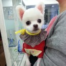 두리종합동물병원 이미지