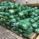 서구노인복지관(15) 이미지