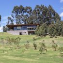 더숲(the 숲) 이미지