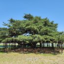 장학보건진료소 이미지