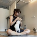 머무름 | 킨텍스요가 강아지가 반겨주는 아늑한 요가원 | 요가, 머무름 후기