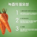 대상웰라이프녹즙 네이버블로그