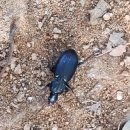 미성동-17 이미지