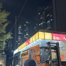 그레이트풀 | The Grateful Camp <더그레이트풀 2025> 후기 신안 짱뚱어해수욕장