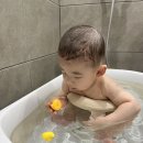 슈잘나