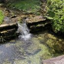 청수가든 이미지