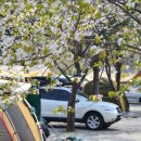 송호파크 이미지