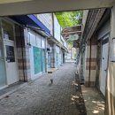 경동초밥 | 범어동 영어 경동초 학생들과 개학 파티 후기 입니다