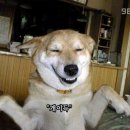 (주)에이팜건강 이미지