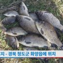 청도대구낚시(수릿대닷컴) 이미지