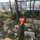 정동진패러마을
