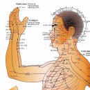 의선한의원 이미지