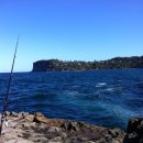 창호목장 이미지