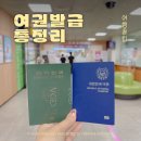 온라인사진 | 여권발급 총정리 여권사진 온라인 여권 재발급 후기