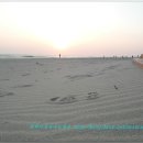 망상오토캠핑리조트 이미지