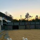 삼서리 | 경북 애견펜션 밀양 애견펜션 청도 애견펜션 ‘삼서리’ 후기