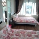 방울풍뎅이 이미지