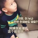 강아지 이모 이미지