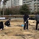 유채꽃길 이미지