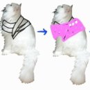 햇빛가득약국 이미지