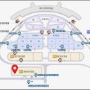 인천공항유치원 | 인천공항 장기예약주차장 이용 후기 & 비엣젯항공 탑승 리뷰｜하이퐁 가족여행 꿀정보