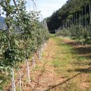 가서농장 이미지