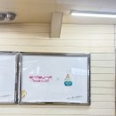 선샤인