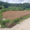 신암2농장 이미지