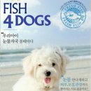 할리우독 | 17.12.17 아투AATU사료/피쉬포독 씨져키티들러