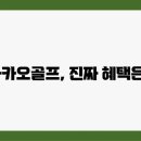 카카오골프 이미지