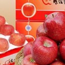 얼음골사과 | ★🍎 밀양 얼음골사과 첫 맛본 후기! 달달함에 먹자마자 감탄 터짐~