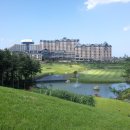 로카와 델피노2 이미지