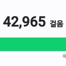골든파크 티스토리